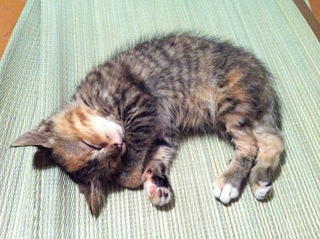 2011-07-20 22.07.56.jpg